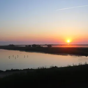 Les Flamants, Avec Vue Imprenable Sur Les Etangs, Les Oiseaux, Les Flamants Petit Dejeuner Compris Frühstückspension