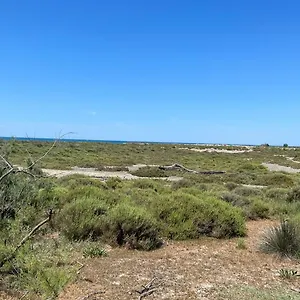 Résidence L’oiseau Des Sables Appartamento